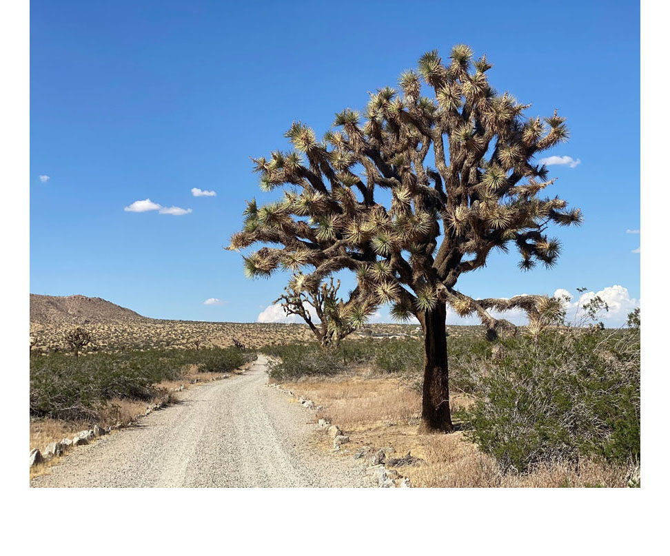 Kick Off The New Year With First Day Hikes At Saddleback Butte State Park The Loop Newspaper 3555